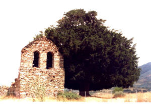 La Tebaida Berciana Tejo de San Cristobal