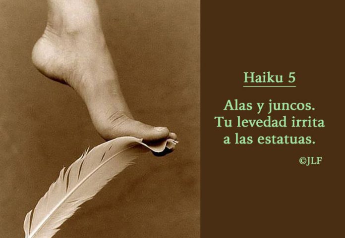 Alas y juncos... Haikus JLF
