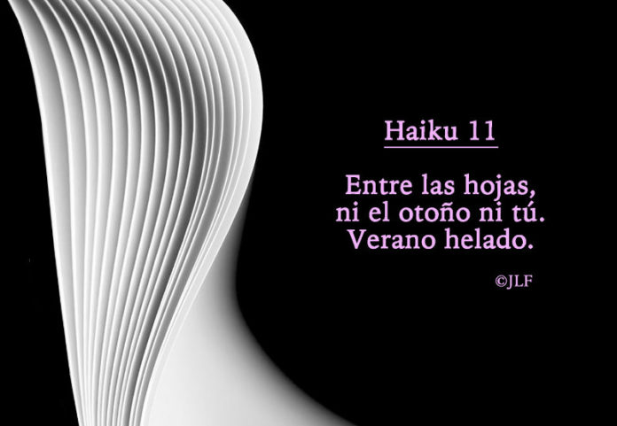 Entre las hojas... Haikus JLF