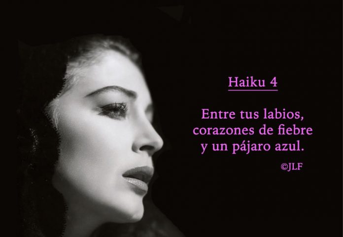 Entre tus labios Haikus 4 JLF