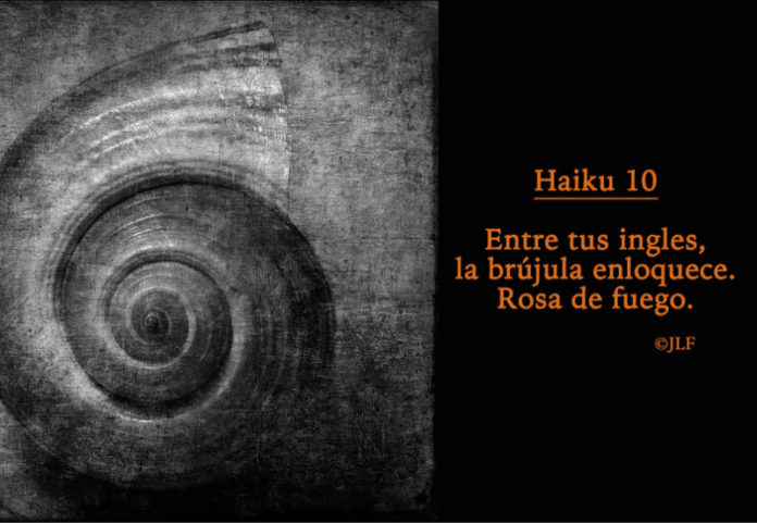 Entre tus ingles... Haikus JLF