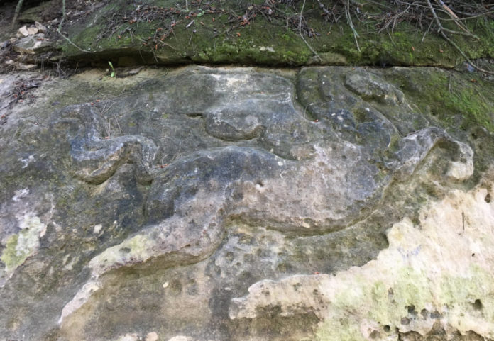 Los veranos de nuestra vida Pilar de la Horadada