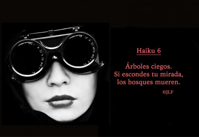 Arboles ciegos... Haikus JLF