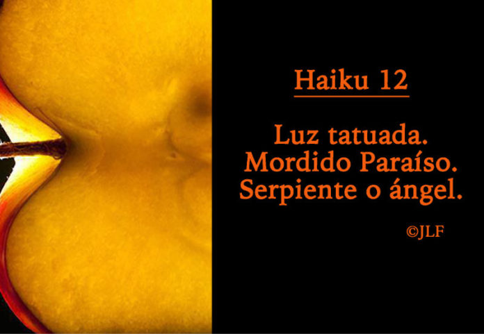 La luz tatuada... Haikus JLF