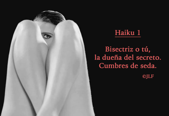 Bisectriz o tú. Haikus JLF