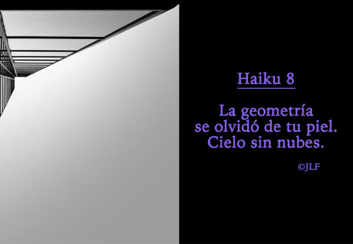 La geometría se olvido... Haikus JLF