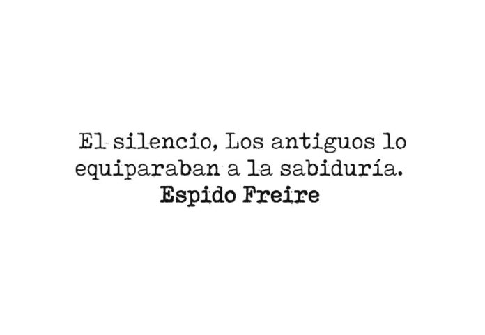 El silencio Aforismos Espidianos