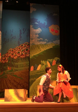 Escena L'Elisir d'Amore de Gaetano Donizetti