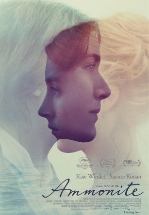 Cartel de Ammenite de Frances Lee