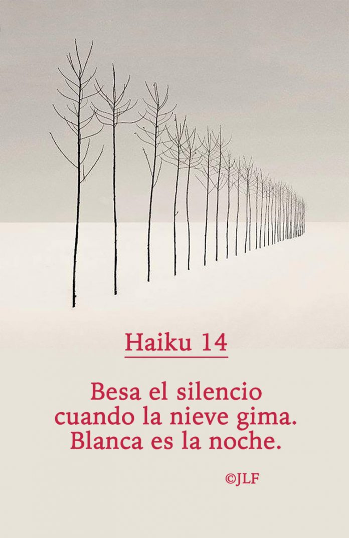 Haiku JLF Besa el silencio cuando la nieve gima