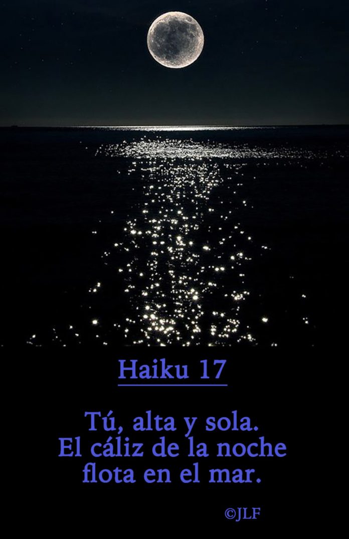 Tú, alta y sola Haikus JLF