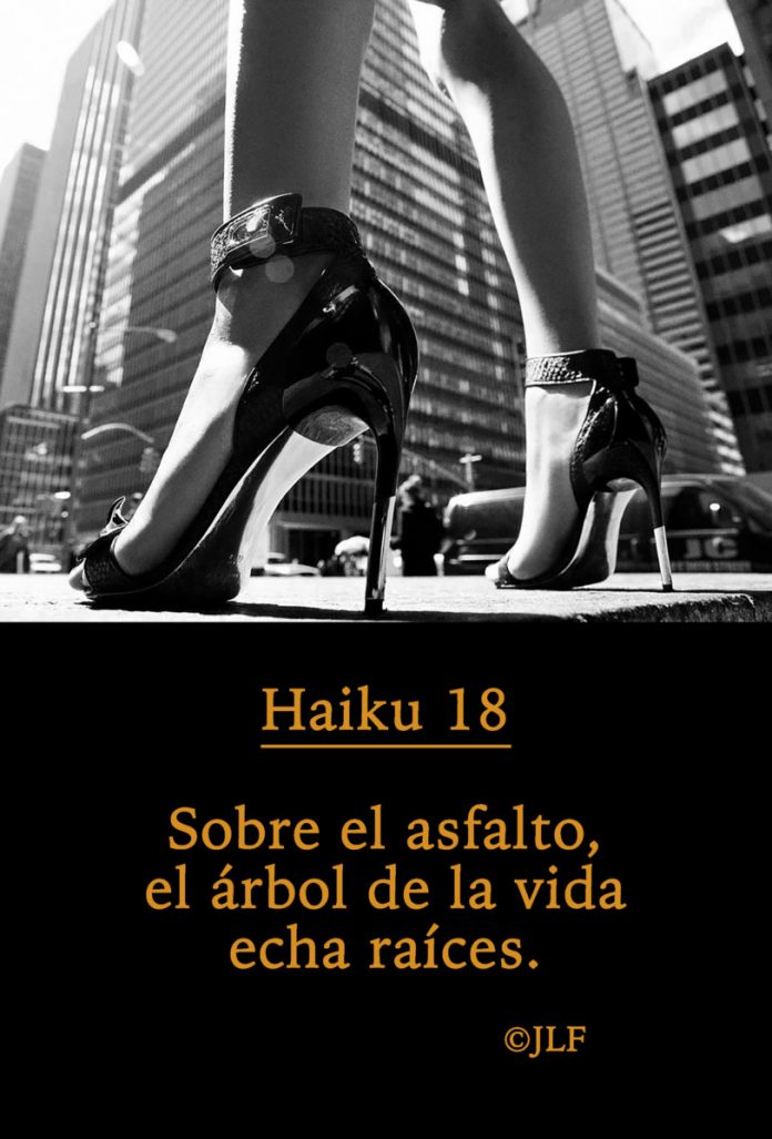 Sobre el asfalto... Haikus JLF