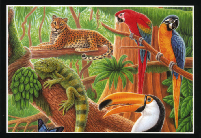 Un Viejo que leía novelas de amor