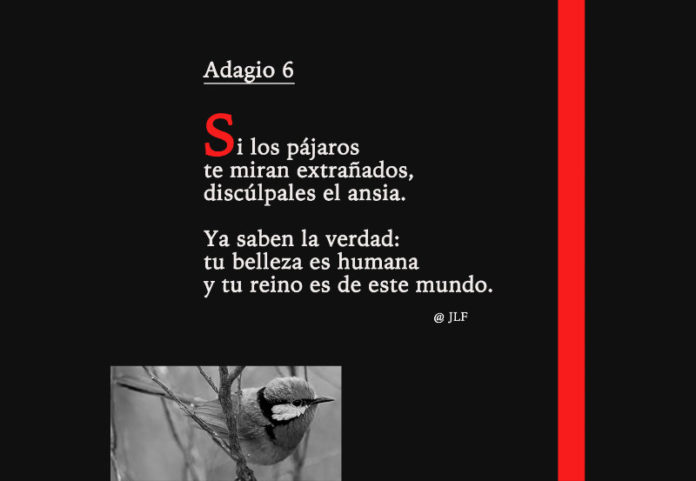 Si los pájaros te miran... Adagios JLF