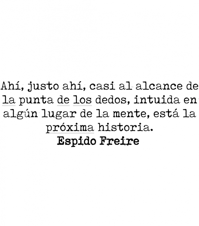 Ahí, justo ahí, casi al alcance de la punta de los dedos, intuida en algún lugar de la mente, está la próxima historia. Espido Freire