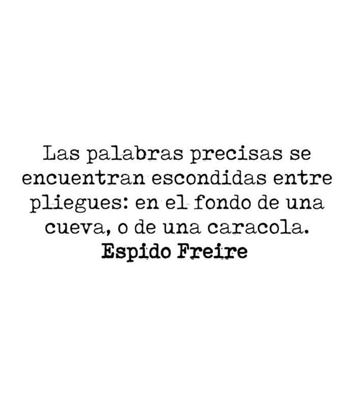 Las palabras precisas se encuentran escondidas entre pliegues: en el fondo de una cueva, o de una caracola. Espido Freire.