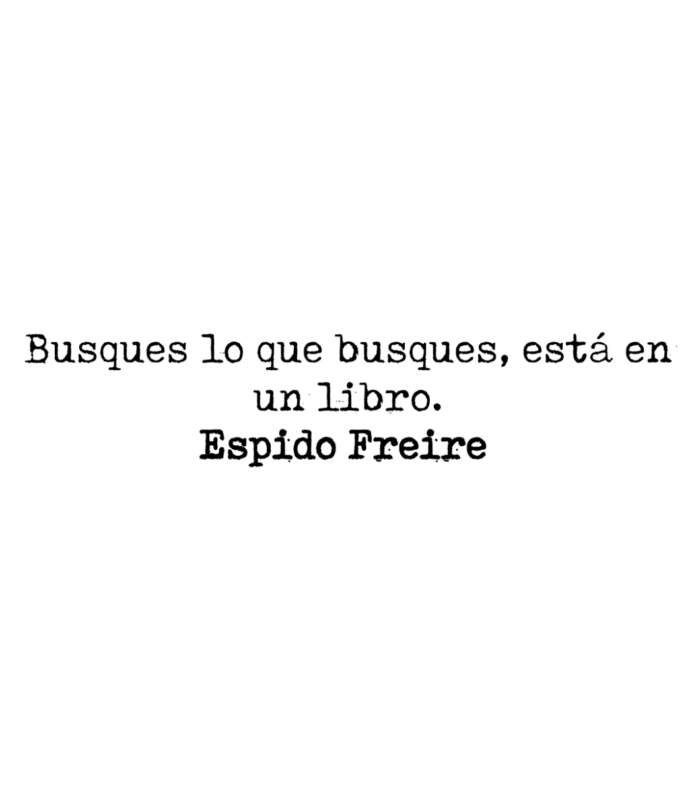 Busques lo que busques, esta en un libro. Espido Freire.