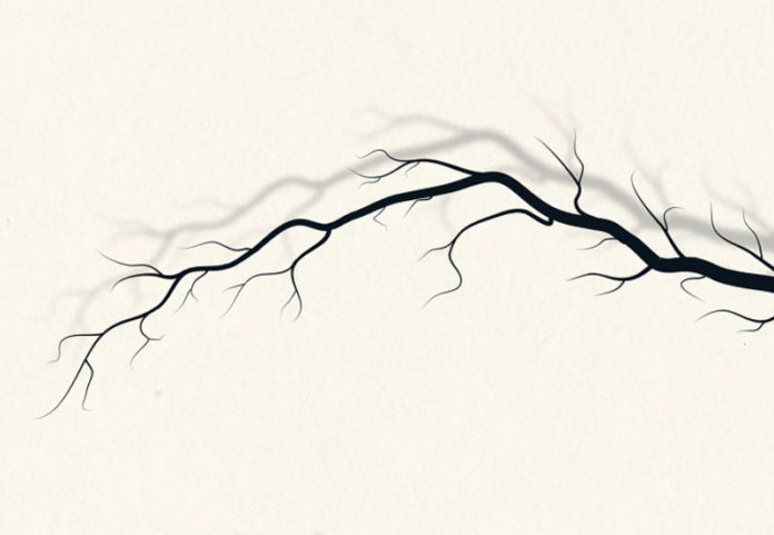 La bruja de Ravensworth