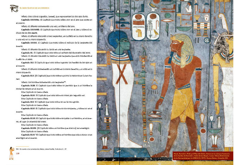 El papiro de Ani un estudio sobre El libro de los los muertos