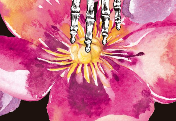 Los vampiros no siempre son atractivos aristócratas