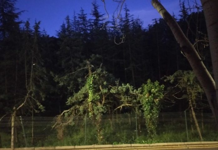 La basura, un relato de Mónica Ruoanet