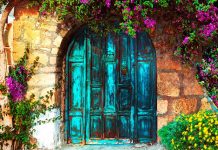 Muerte en Santa Rita: entre todos lo mataron y él solito se murió… ¿o no? Muerte en Santa Rita Elia Barceló, Roca Libros