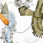 Una zanahoria muy pero que muy gigante, y el bonito ciclo de la amistad. Una zanahoria gigante, La zanahoria de Laia Domènech