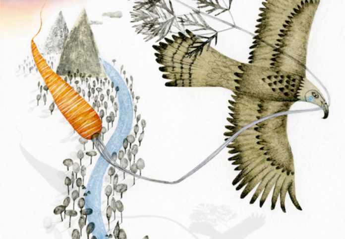 Una zanahoria gigante, La zanahoria de Laia Domènech