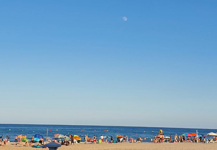 Lecturas para el verano, lecturas para todo el año