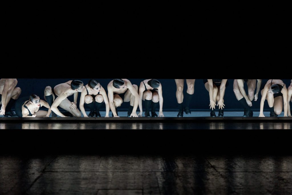 Ballet, Afanador, Luz,