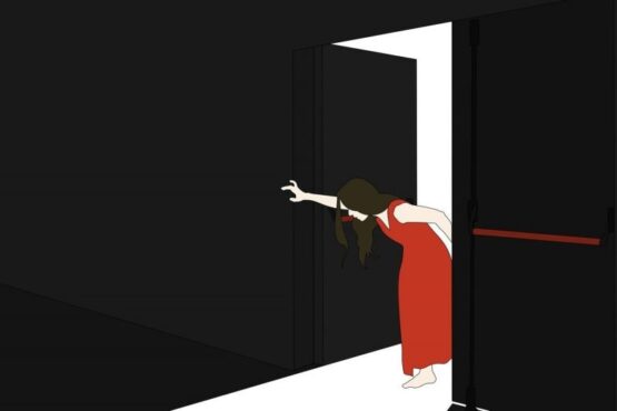 Fernanda Orazi, La persistencia, teatro, gaviota