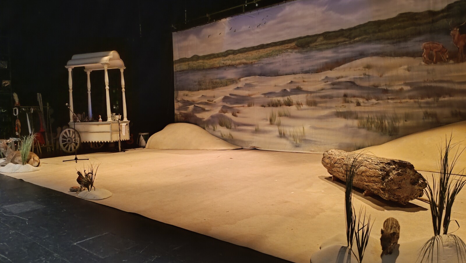 Club caníbal, agua, teatro, humor