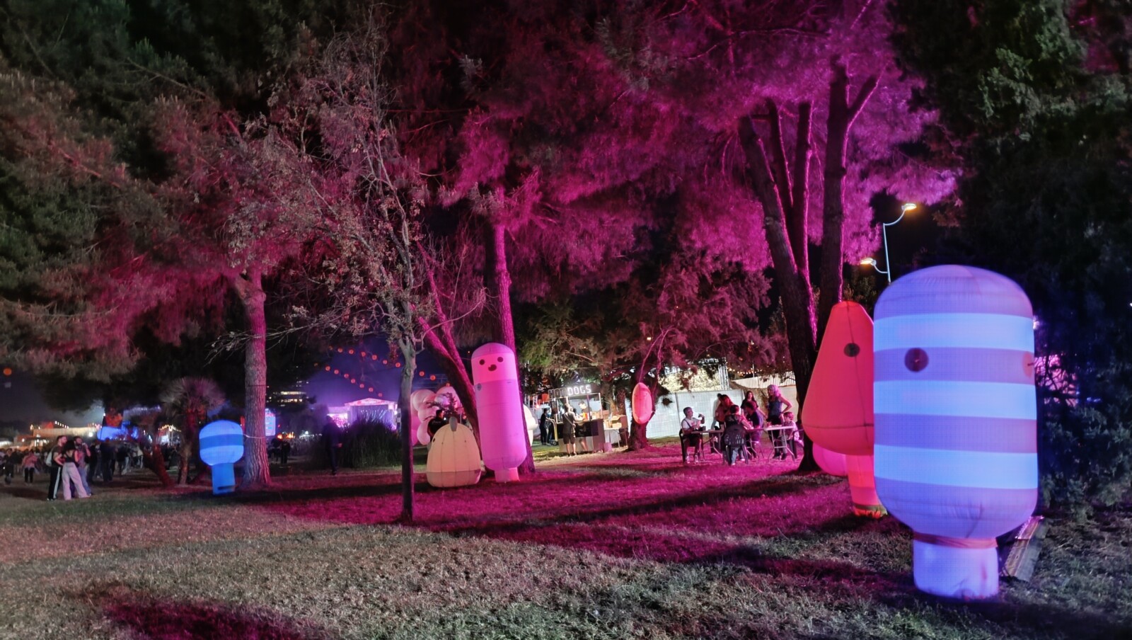 INTERESTELAR, Mikel Izal, PARTITURA PARA EL FUEGO