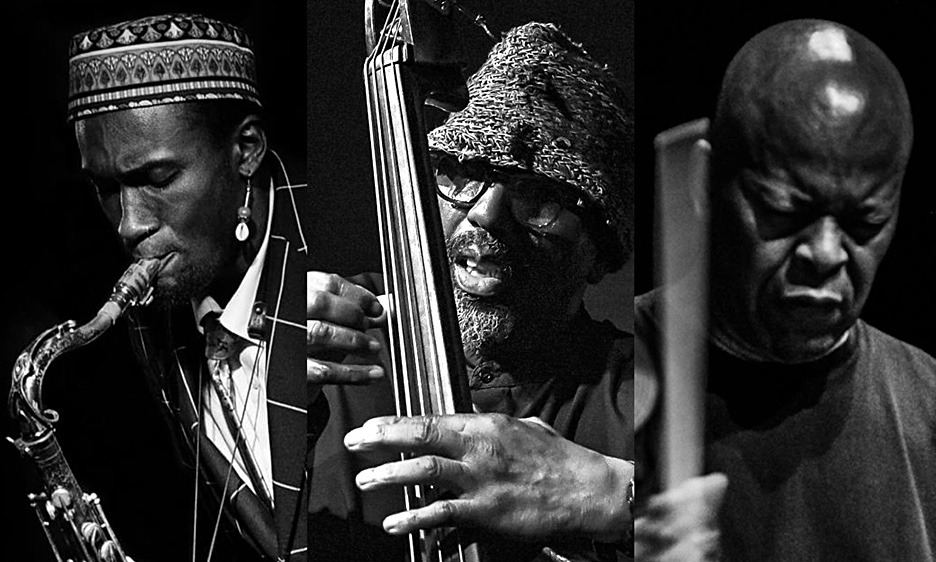 WILLIAM PARKER, , Jazz, Festival, US, Festival de jazz, Partitura para el Fuego