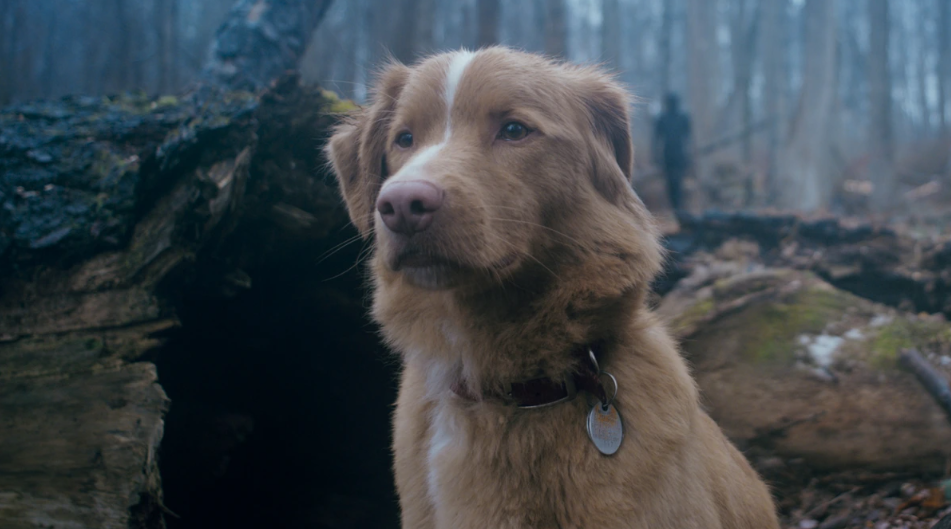 Filmin, película, cine, reseña, Alberto Revidiego, Mapa Desbloqueado